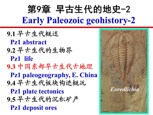 第9章早古生代的地史2.ppt