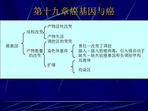 【教学课件】第十九章癌基因与癌.ppt