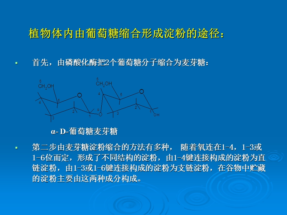 【教学课件】第二章谷物淀粉.ppt_第3页