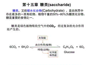 《糖药学专升本陆涛》PPT课件.ppt