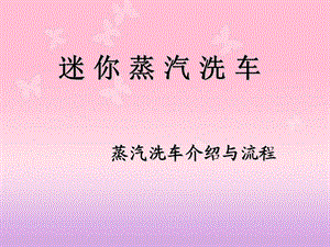 《迷你蒸汽洗车》PPT课件.ppt