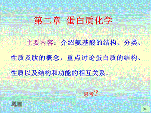 【教学课件】第二章蛋白质化学.ppt