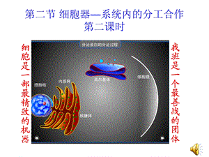 【教学课件】第二节细胞器-系统内的分工合作第二课时.ppt