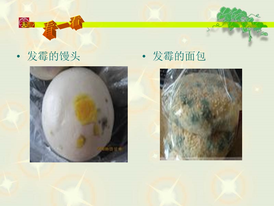 【教学课件】第四章第二节细菌.ppt_第3页