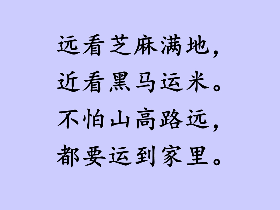 远看芝麻满地近看黑马运米不怕山高路远都要运到家里课件.ppt_第1页