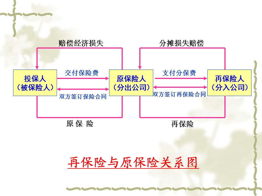 【教学课件】第二十二章再保险.ppt_第3页