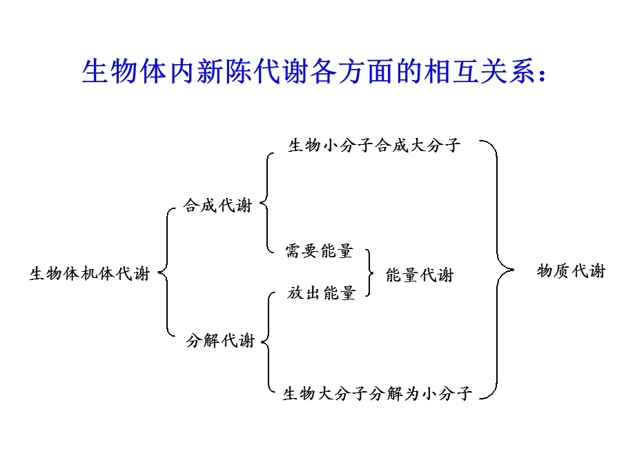 【教学课件】第三章生命活动的维持.ppt_第3页