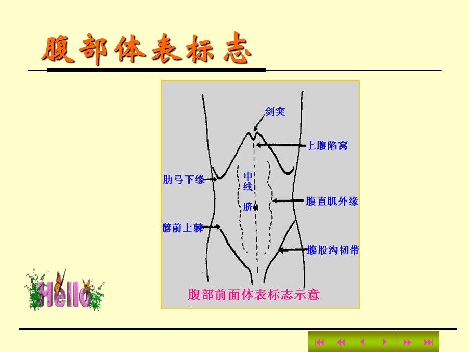 【教学课件】第三章体格检查第六节腹部.ppt_第2页