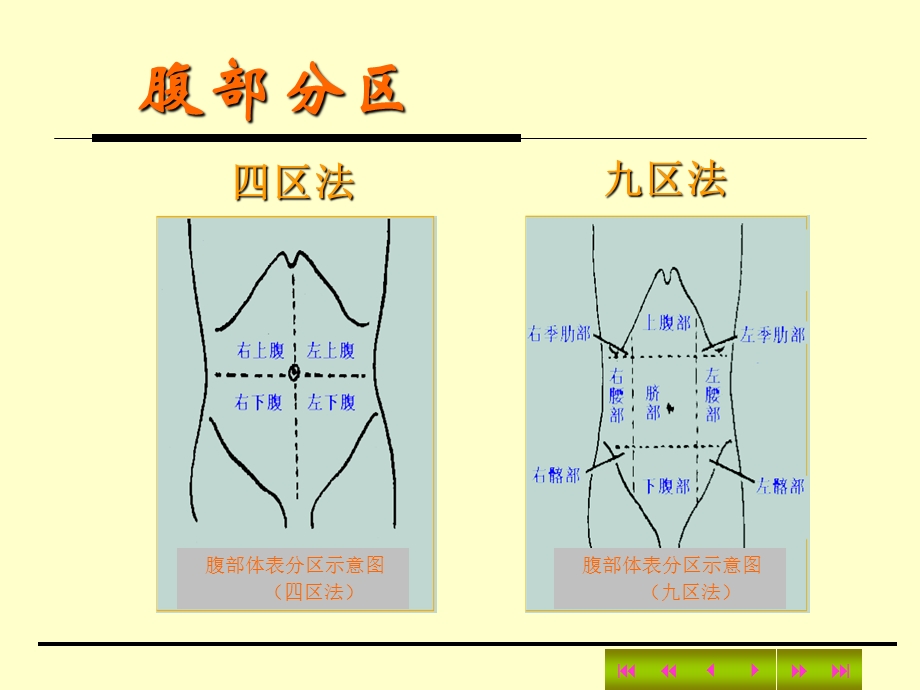 【教学课件】第三章体格检查第六节腹部.ppt_第3页