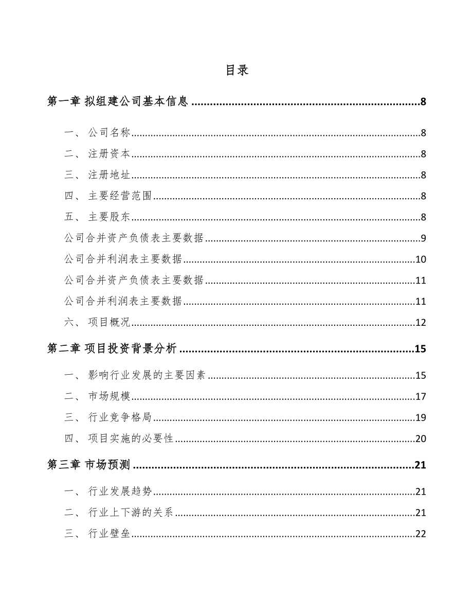 厦门关于成立石英产品公司可行性研究报告.docx_第2页