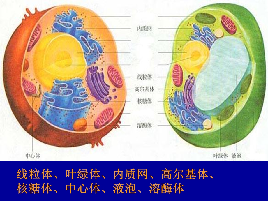 《阳羡高级中学》PPT课件.ppt_第3页