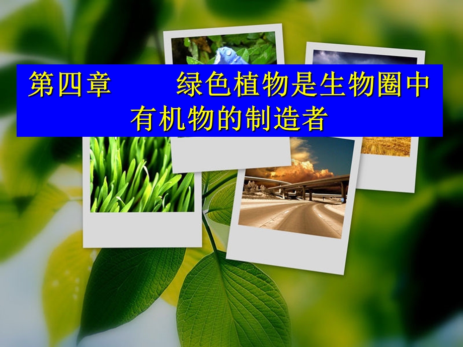 《绿色植物是生物圈中有机物的制造者》课件.ppt_第3页