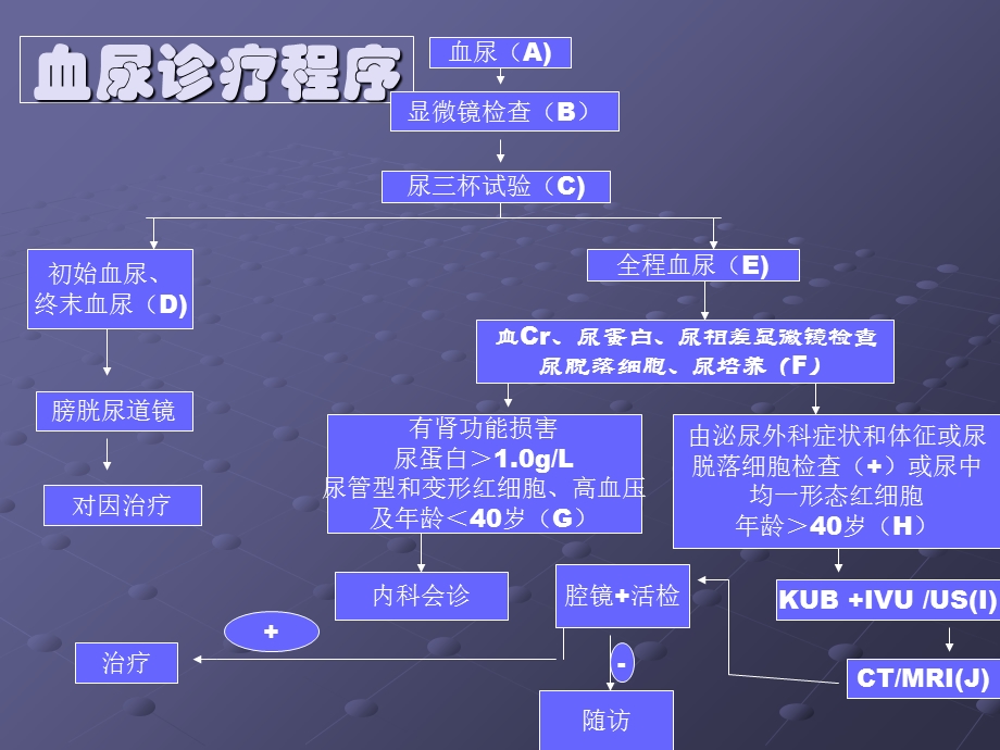 《血尿讲座》PPT课件.ppt_第2页