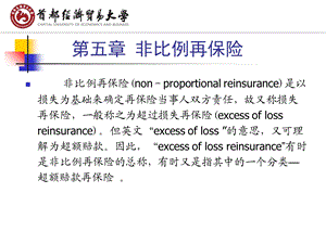 《非比例再保险》PPT课件.ppt