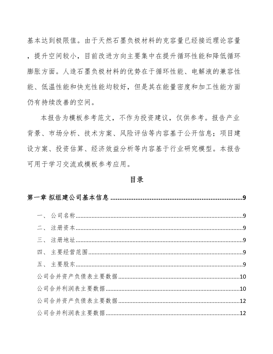 南通关于成立锂电材料公司可行性研究报告.docx_第3页