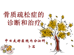 骨质疏松课.ppt