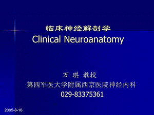 临床神经解剖学[1].1.ppt