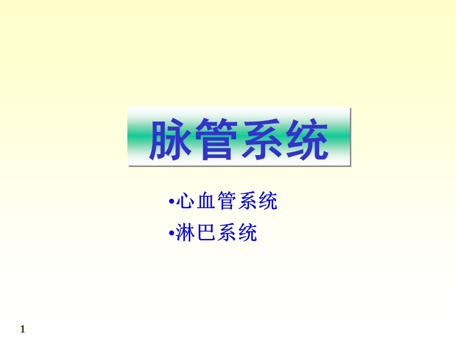 chapter111、2心血管系统08.ppt_第1页