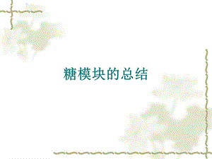 《糖模块的总结》PPT课件.ppt