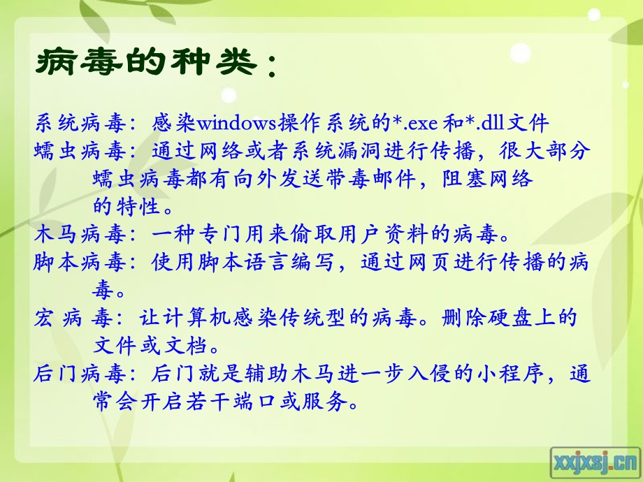 计算机网络安全与病毒清除.ppt_第3页