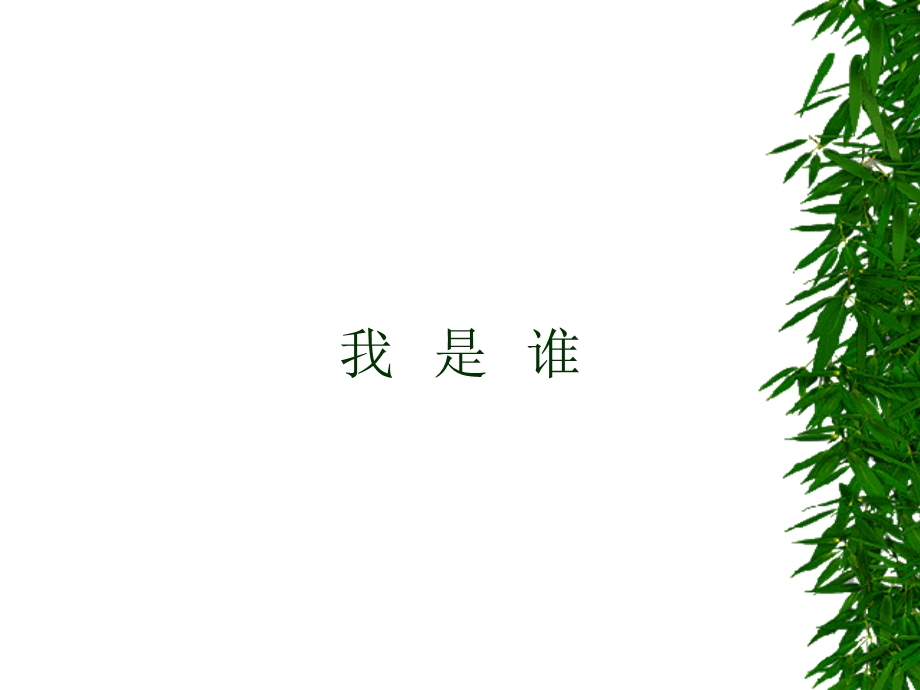 784我是谁.ppt_第2页