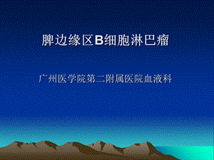 《脾边缘区淋巴瘤》PPT课件.ppt