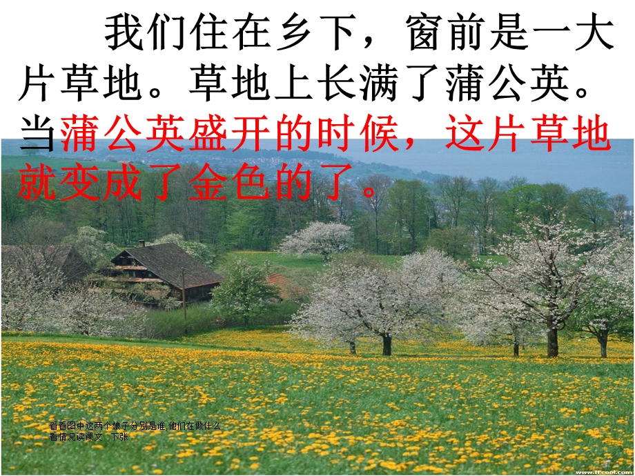 金色的草地.ppt.ppt_第3页