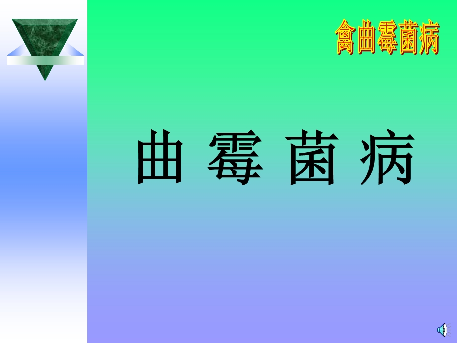 《禽曲霉菌病》PPT课件.ppt_第1页