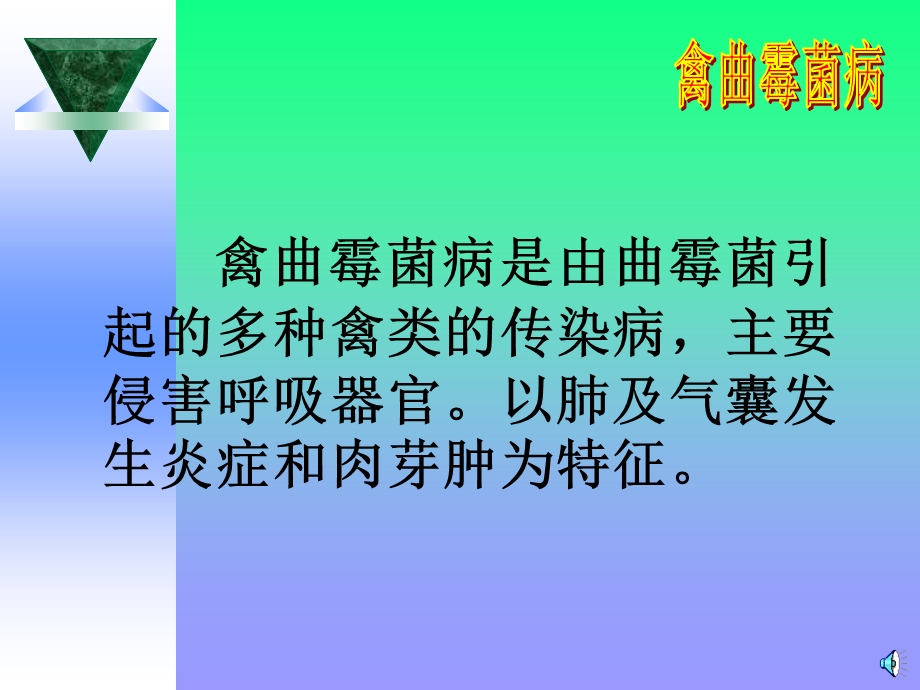 《禽曲霉菌病》PPT课件.ppt_第2页