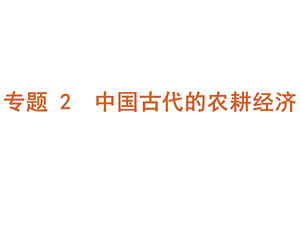 【教学课件】专题2中国古代的农耕经济.ppt