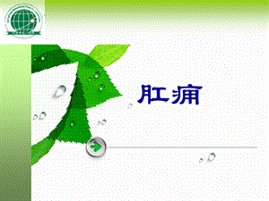 《肛痈肛瘘脱肛》PPT课件.ppt