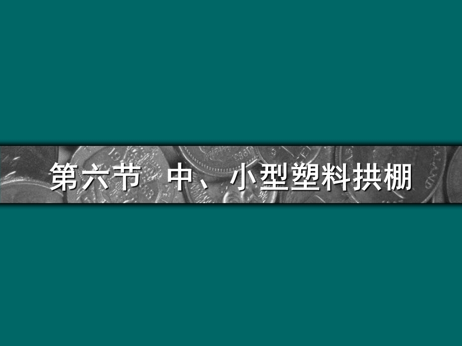 【教学课件】第六节中、小型塑料拱棚.ppt_第1页