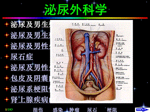 泌尿外科Urinarysurgery.ppt