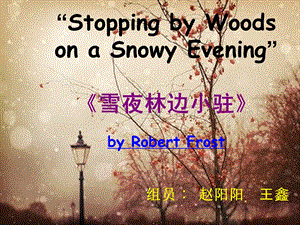 《雪夜林边小驻》PPT课件.ppt