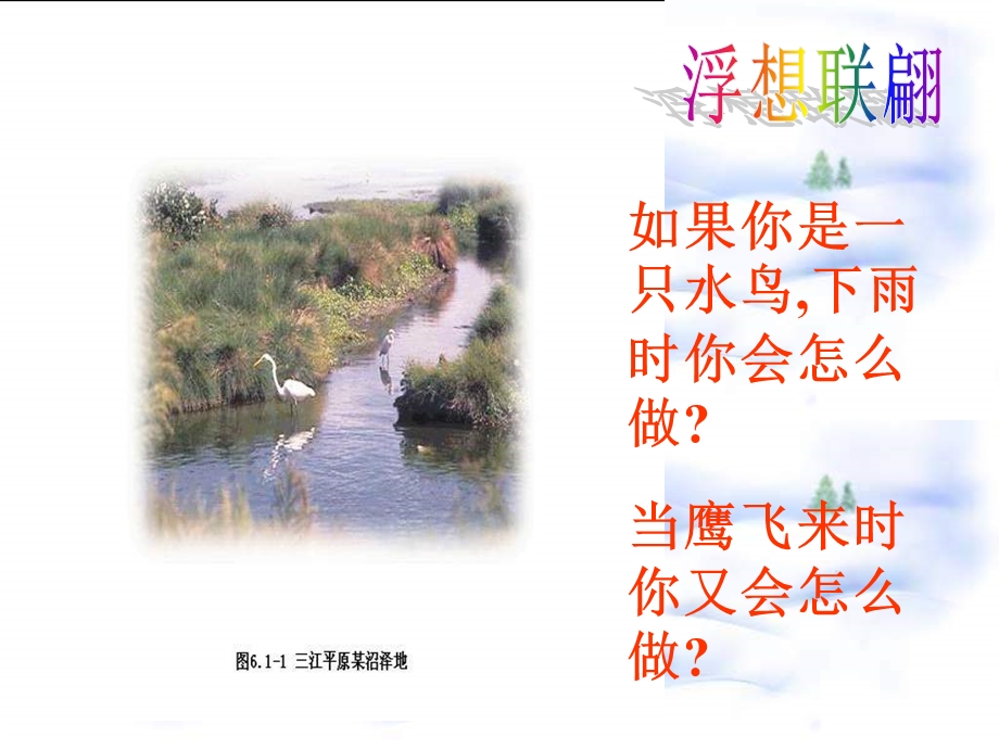 一节生态系统组成.ppt_第3页