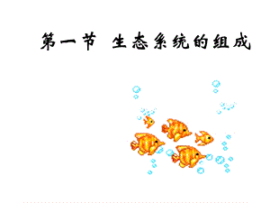 一节生态系统组成.ppt