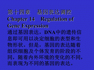 【教学课件】第十四章基因表达调控Chapter14RegulationofGene.ppt