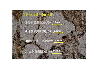 《镜下照片比例尺》PPT课件.ppt