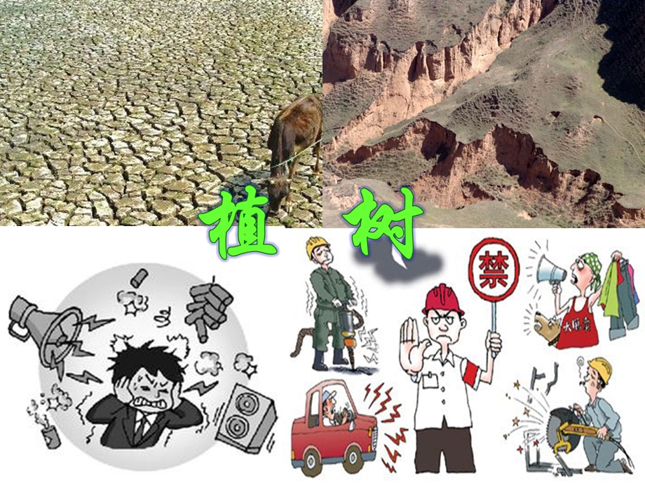 《走我们去植树》PPT课件.ppt_第1页