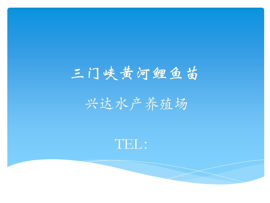 《门峡黄河鲤鱼苗》PPT课件.ppt_第1页