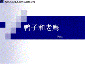 《鸭子和老鹰》PPT课件.ppt