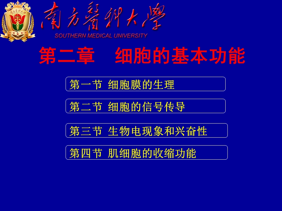 肌细胞的收缩功能.ppt_第1页