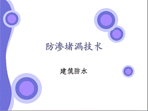 《防渗堵漏技术》PPT课件.ppt