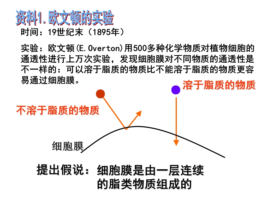 第细胞膜和细胞壁.ppt_第3页