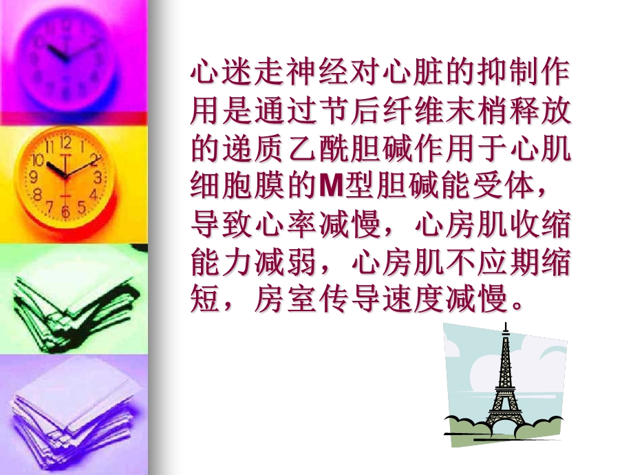 《迷走神经反射》PPT课件.ppt_第3页