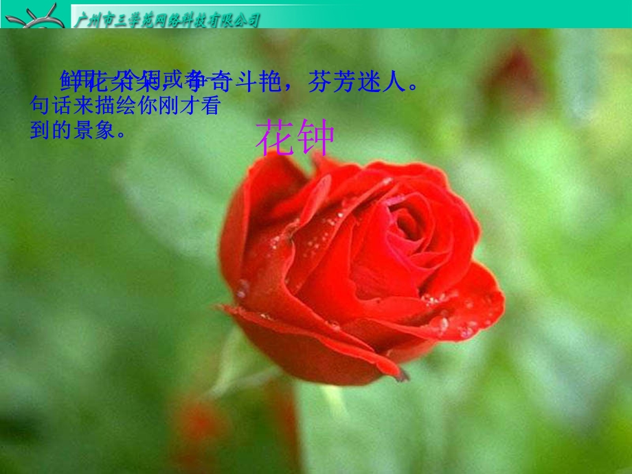 《花钟上课用》PPT课件.ppt_第2页