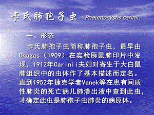 课件卡氏肺孢子虫Pneumocystiscarinii.ppt