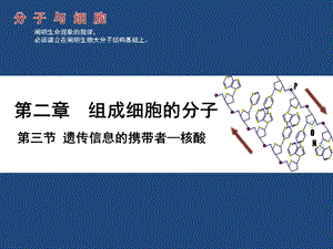 【教学课件】第三节遗传信息的携带者-核酸.ppt