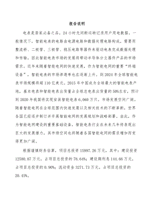 厦门半导体分立器件项目可行性研究报告.docx