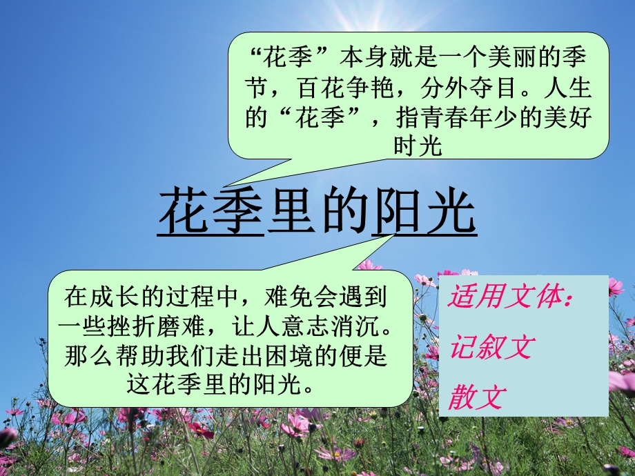 《花季里的阳光》PPT课件.ppt_第2页